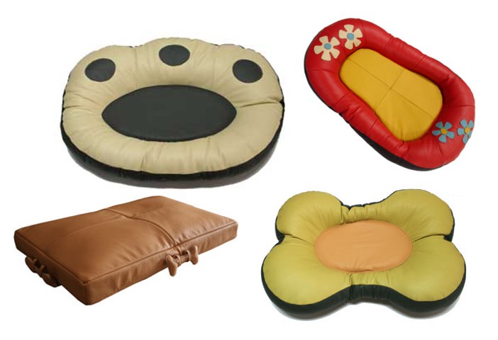 Pet Accessories