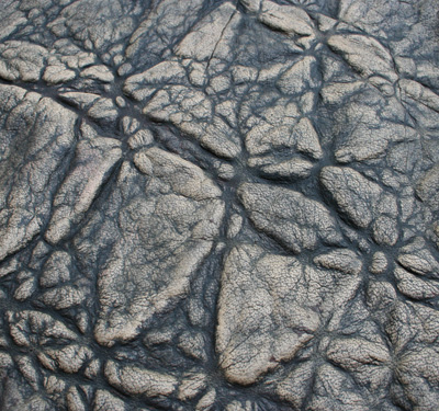 Full Grain Aniline